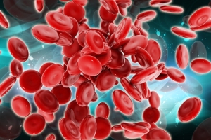 How are blood stem cells made? Australian scientists have uncovered a missing ingredient. 