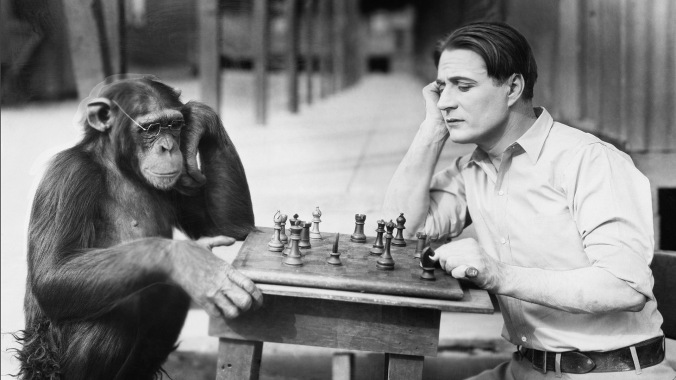 Chimps and Humans: So similar yet so different